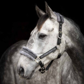 Kantar z futerkiem Czarno/Szary Kantar z futerkiem Czarno/Szary