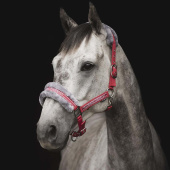 Kantar z Futerkiem Czerwony/Szary Kantar z Futerkiem Czerwony/Szary