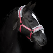 Kantar z Futerkiem Czerwony/Szary Kantar z Futerkiem Czerwony/Szary