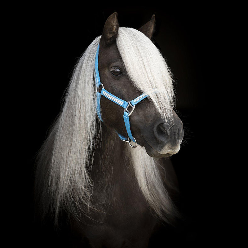 Kantar Mini Strass Niebieski