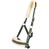 Kantar z Futerkiem Ciemnozielony/Kremowy Kantar z Futerkiem Ciemnozielony/Kremowy