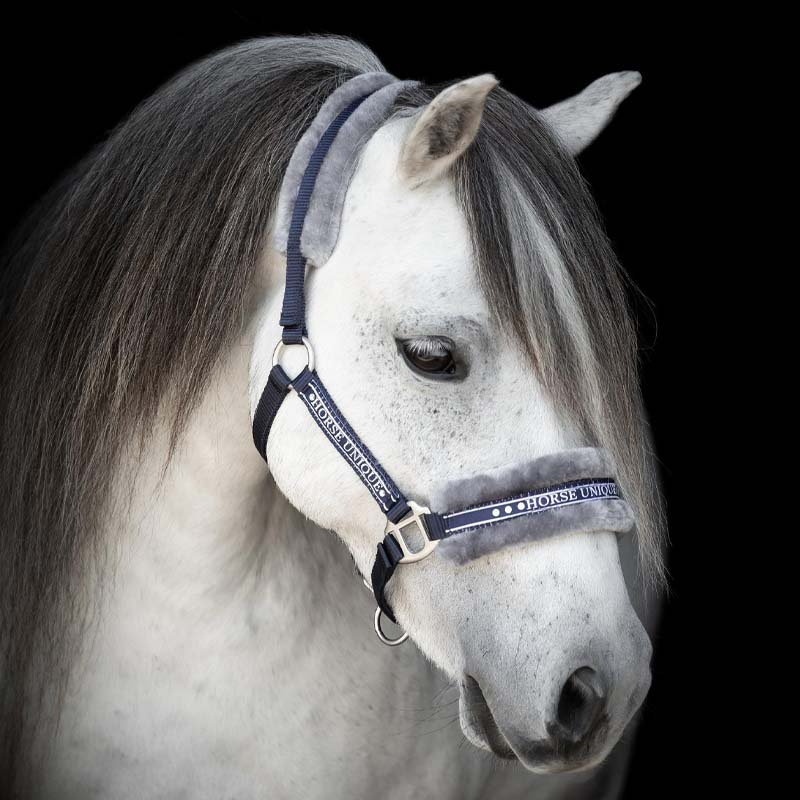 Kantar z Futerkiem Granatowy/Szary