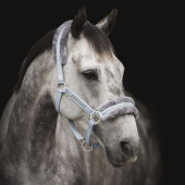 Kantar z Futerkiem Jasnoniebieski/Szary Kantar z Futerkiem Jasnoniebieski/Szary