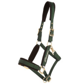 Kantar Comfort Zielony