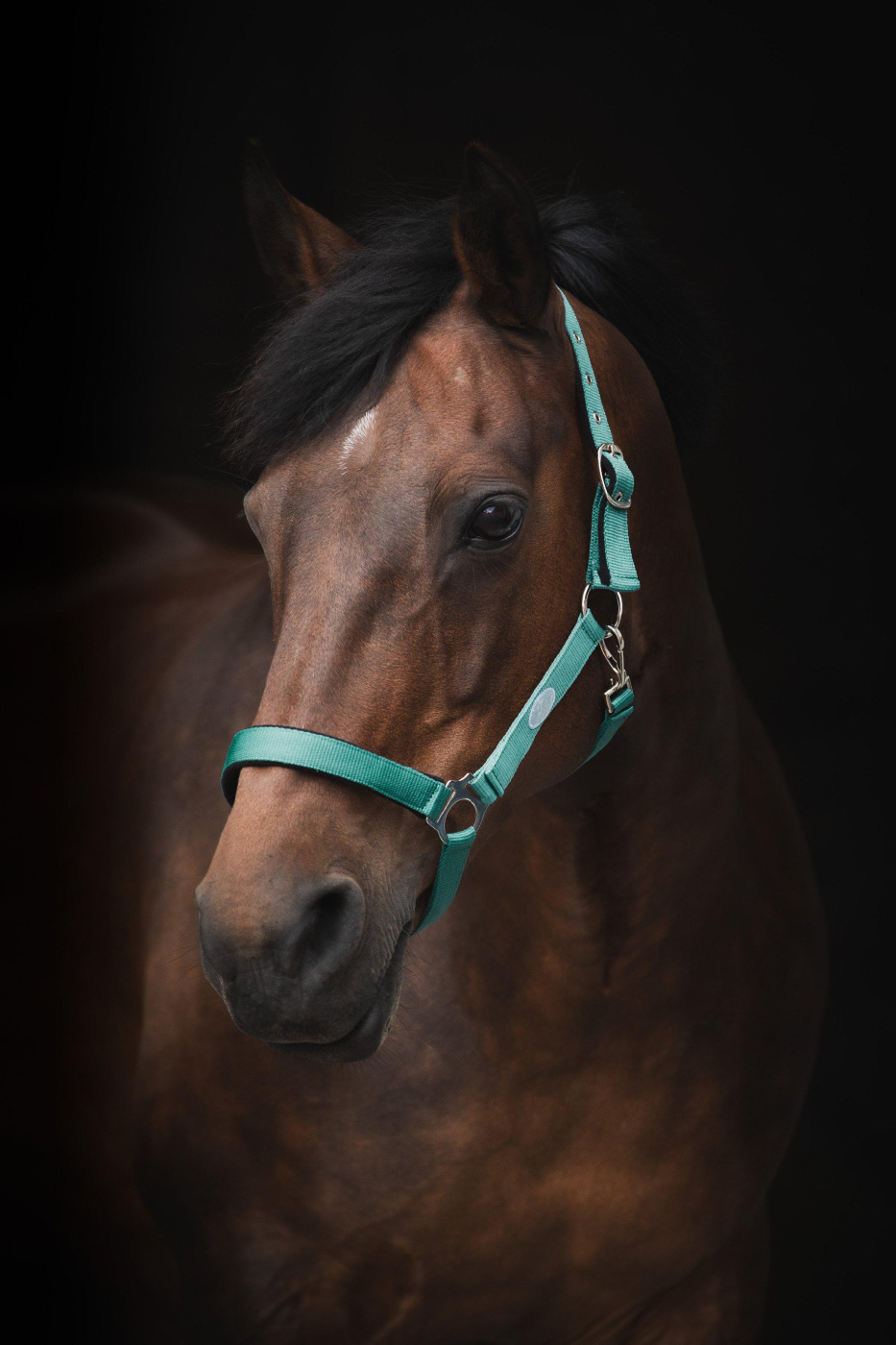 Kantar Basic Turkusowy