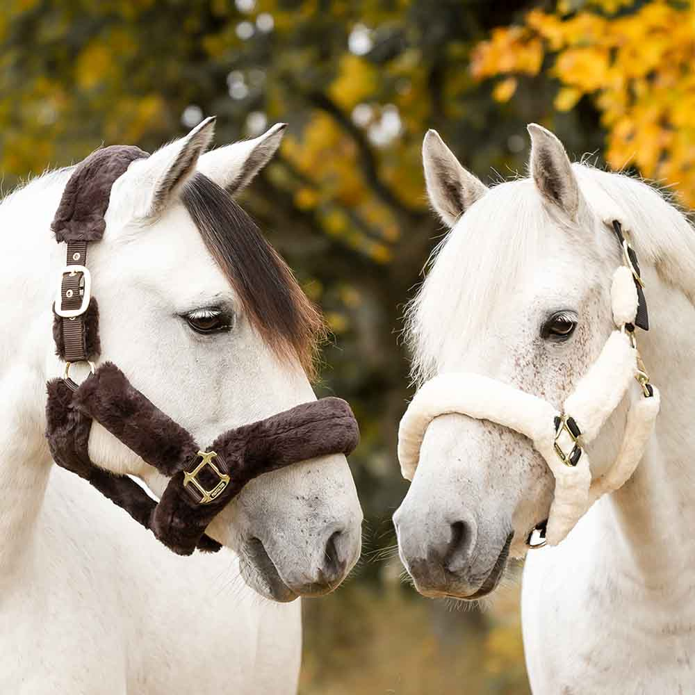 Kantar Cozy z futerkiem Brązowy