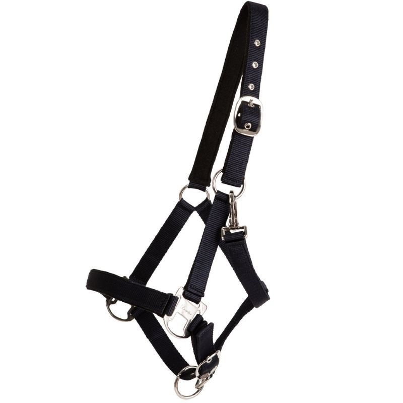 Kantar Double Buckle Granatowy