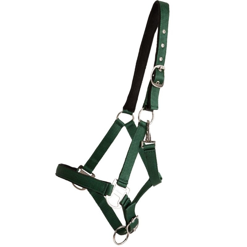 Kantar Double Buckle Zielony