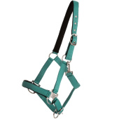 Kantar Double Buckle Turkusowy Kantar Double Buckle Turkusowy