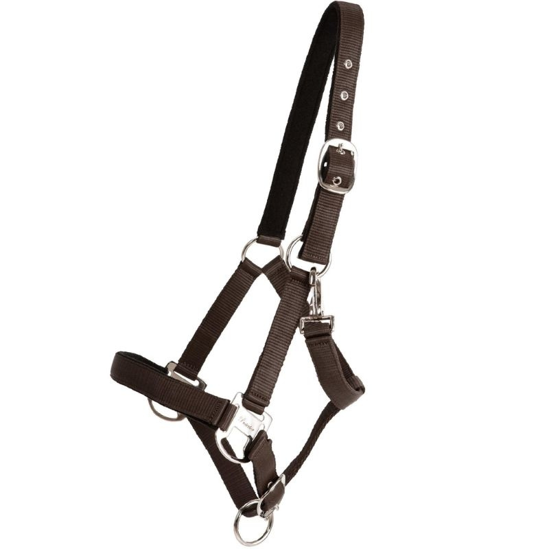 Kantar Double Buckle Brązowy