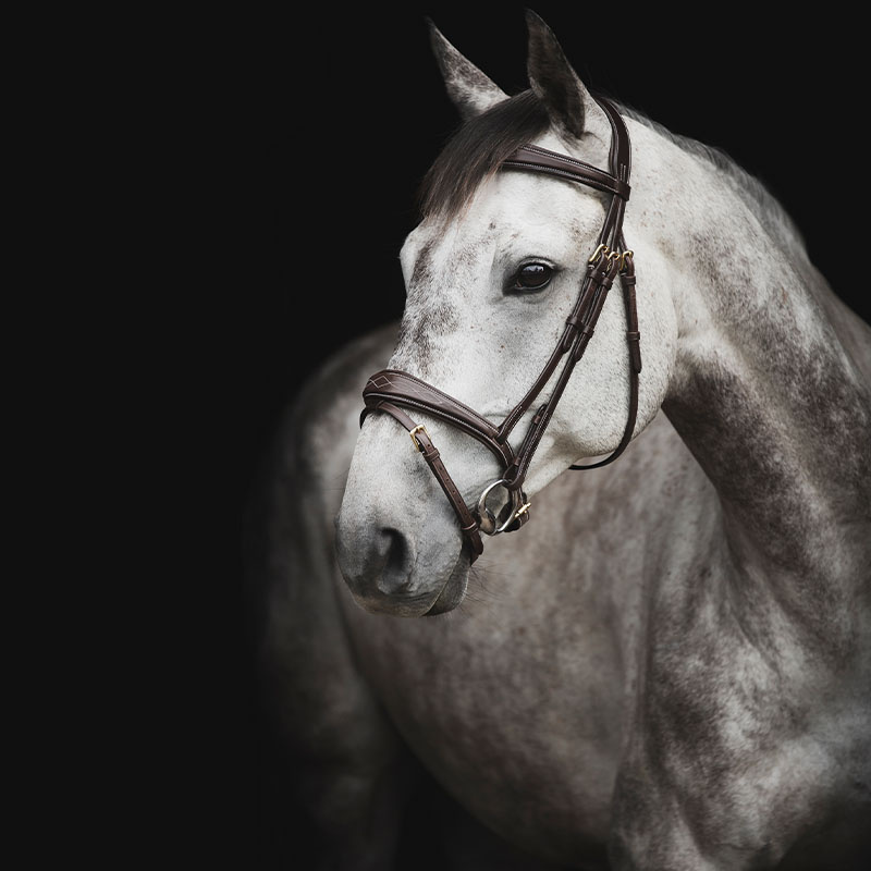 Ogłowie Supreme Fancy ciemnobrązowe