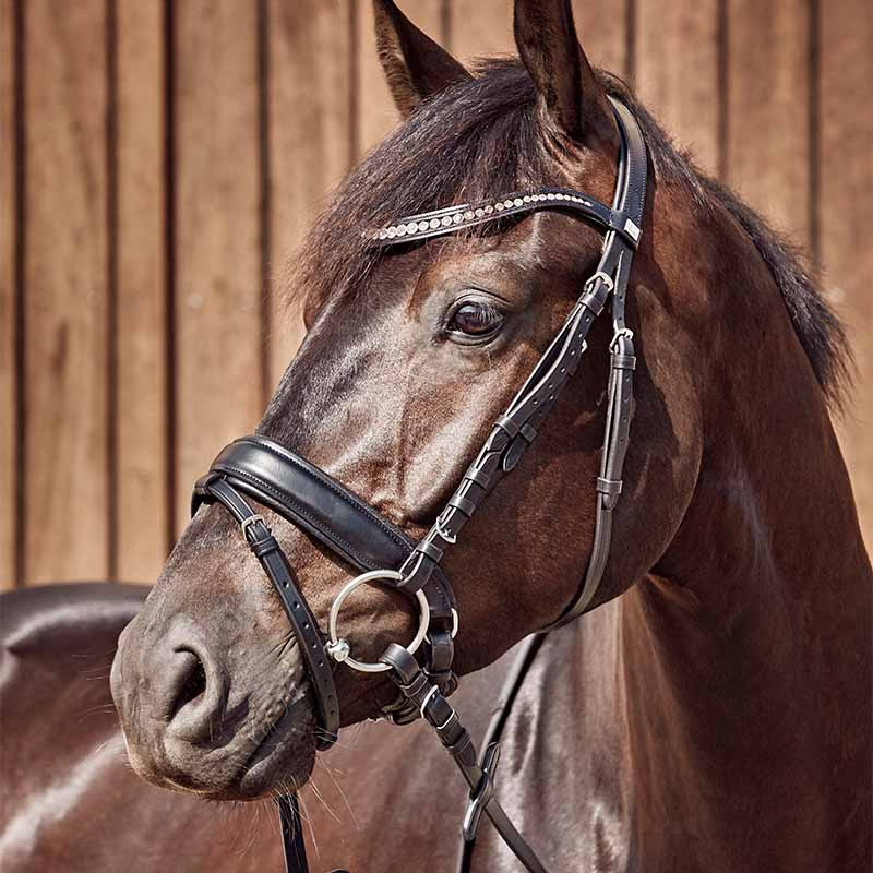 Wędzidło kółkowe podwójnie łamane Curved HD HG