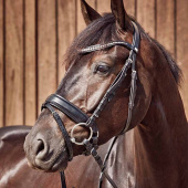 Wędzidło kółkowe podwójnie łamane Curved HD HG Wędzidło kółkowe podwójnie łamane Curved HD HG