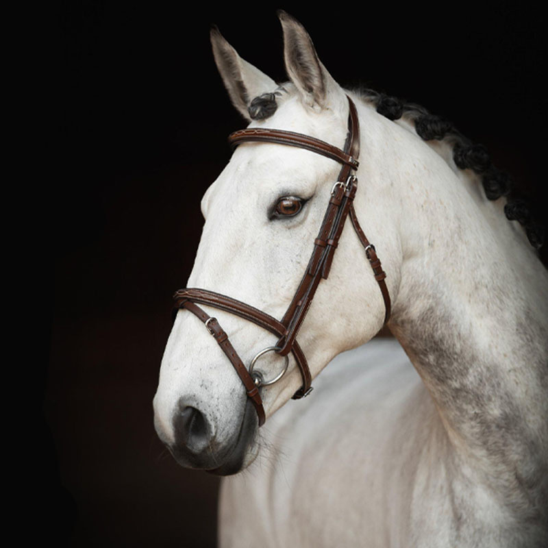 Ogłowie Fancy Slim Selected Oak Bark/Srebrne okucia