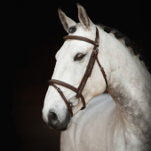 Ogłowie Fancy Slim Selected Oak Bark/Srebrne okucia Ogłowie Fancy Slim Selected Oak Bark/Srebrne okucia