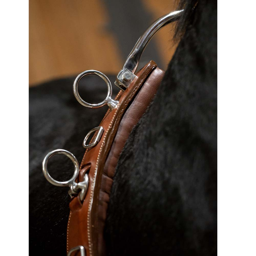 Pas do pracy z ziemi Brązowy