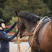 Łuk do pasa do lonżowania Srebrny Łuk do pasa do lonżowania Srebrny