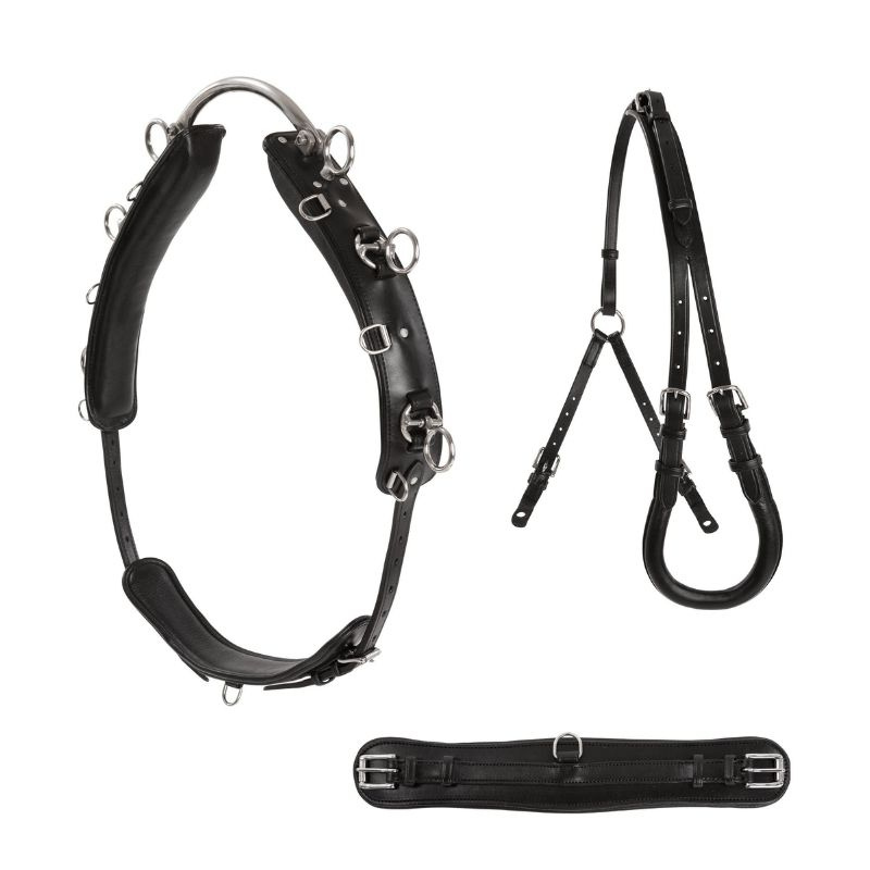 Pas do lonżowania Shetland/Pony Czarny