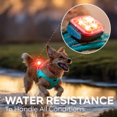 Lampka Light 01 ClipOn Czarny Lampka Light 01 ClipOn Czarny