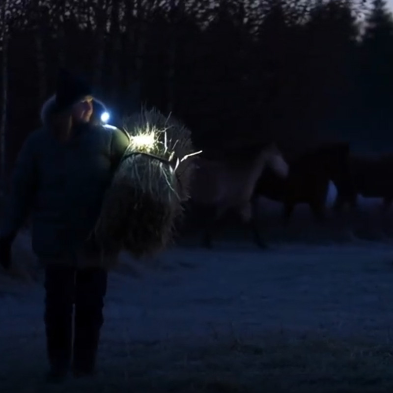 Lampka Light 01 ClipOn Czarny