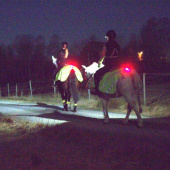 Lampka Light 01 ClipOn Czarny Lampka Light 01 ClipOn Czarny