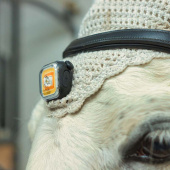 Lampka Light 01 ClipOn Czarny Lampka Light 01 ClipOn Czarny