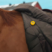 MeoTemp Horse Rug Sensor Żółty MeoTemp Horse Rug Sensor Żółty