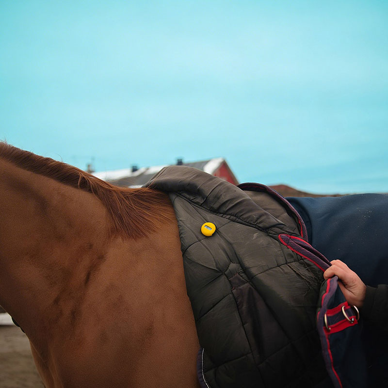 MeoTemp Horse Rug Sensor 2-pack Żółty