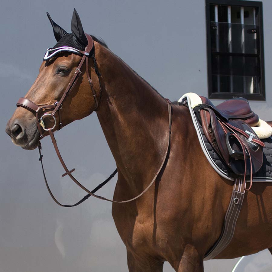 Anatomiczny popręg Luxury Stitching Ciemny brąz