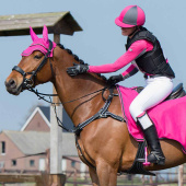 Anatomiczny popręg skokowy z fartuchem Luxury Stitching Czarny Anatomiczny popręg skokowy z fartuchem Luxury Stitching Czarny