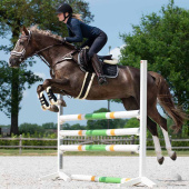 Popręg Ontario Fauxfur Brązowy Popręg Ontario Fauxfur Brązowy