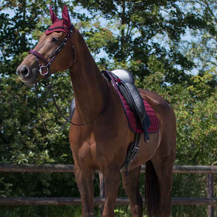 Czaprak wszechstronny Florence bordowo/granatowy