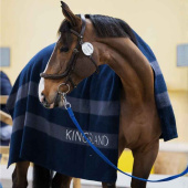Koc wełniany Classic Granatowy Koc wełniany Classic Granatowy
