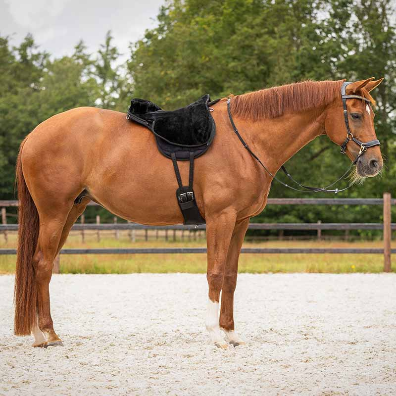 Pad do jazdy na oklep Super Soft Czarny/Czarny