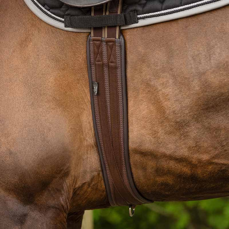 Anatomiczny popręg Basic Pro Brązowy