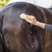 Szczotka Sustainable Natur Szczotka Sustainable Natur