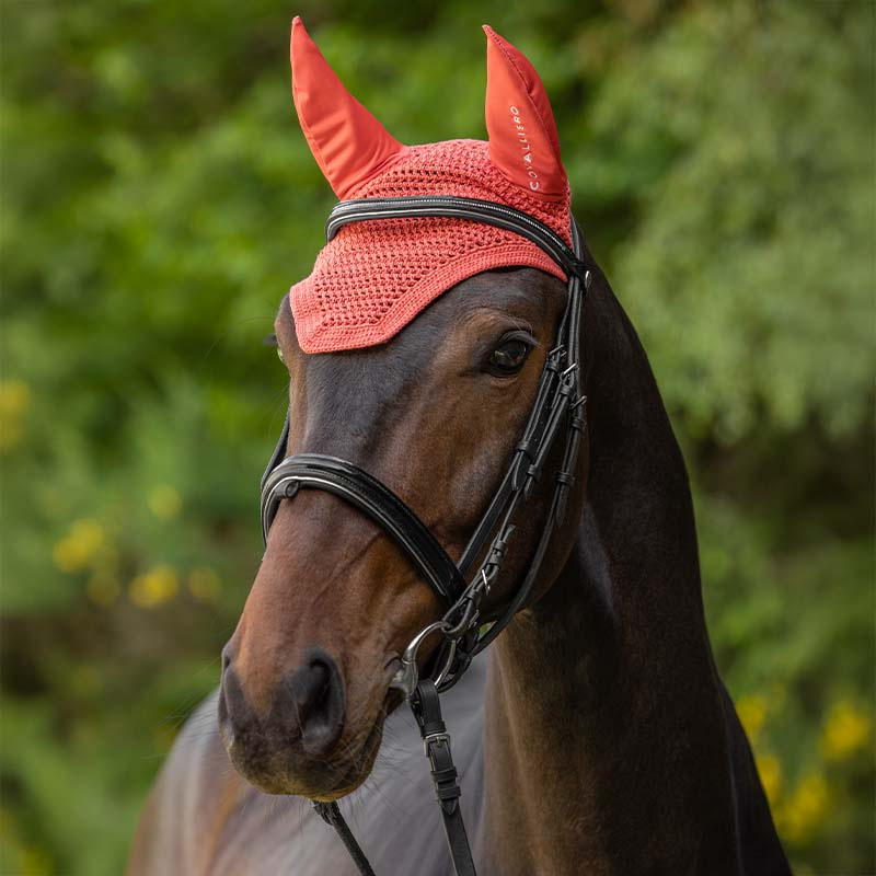 Nauszniki Sleek Logo Koralowe