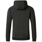 Bluza z kapturem męska Anniversary Szara Bluza z kapturem męska Anniversary Szara