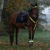 Odblaski na nogi High-Visibility LED 2 szt. Żółte Odblaski na nogi High-Visibility LED 2 szt. Żółte