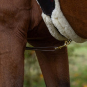 Napierśnik High-Visibility LED Żółty Napierśnik High-Visibility LED Żółty