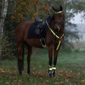 Napierśnik High-Visibility LED Żółty Napierśnik High-Visibility LED Żółty