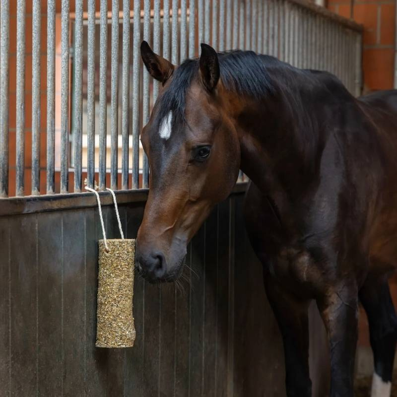 Zabawka dla konia Nibbler Stick Metabolism