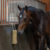 Zabawka dla konia Nibbler Stick Metabolism Zabawka dla konia Nibbler Stick Metabolism