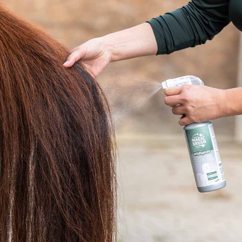 Nabłyszczacz Premium Wild Spices 500 ml