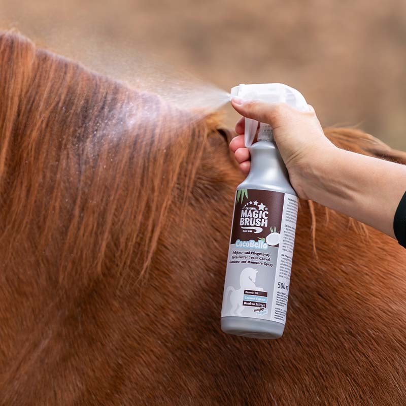 Nabłyszczacz Premium Coco Bello 500 ml