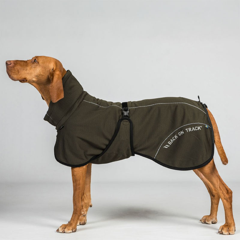 Derka siatkowa dla psa Bay High Tail Oliwkowa zieleń