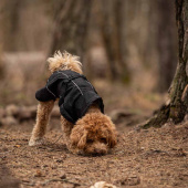 Derka przeciwdeszczowa dla psa Bay High Tail Czarna Derka przeciwdeszczowa dla psa Bay High Tail Czarna