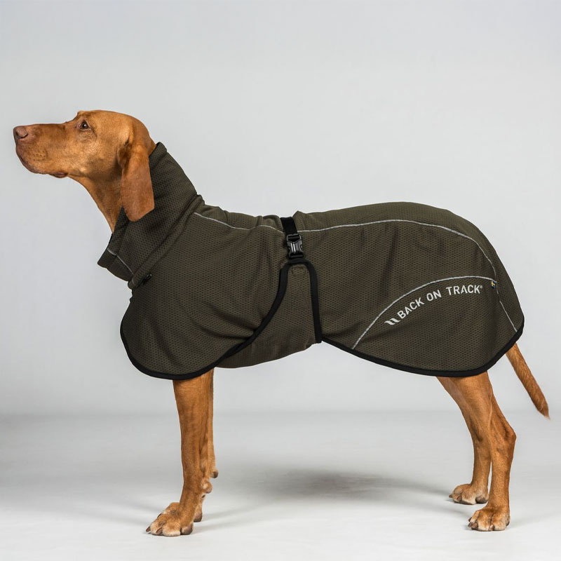 Derka siatkowa dla psa Bay Low Tail Oliwkowa zieleń