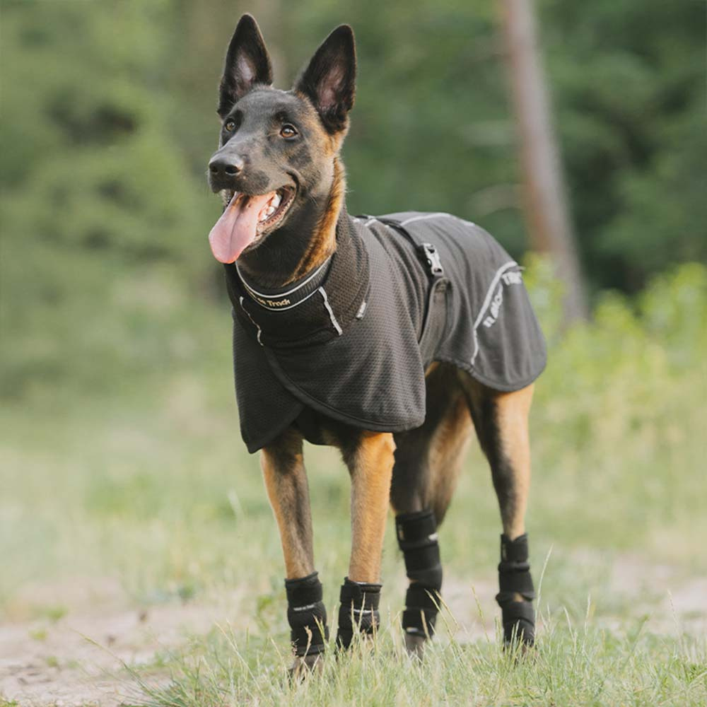 Derka siatkowa dla psa Bay Low Tail Czarna