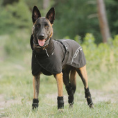 Derka siatkowa dla psa Bay Low Tail Czarna Derka siatkowa dla psa Bay Low Tail Czarna